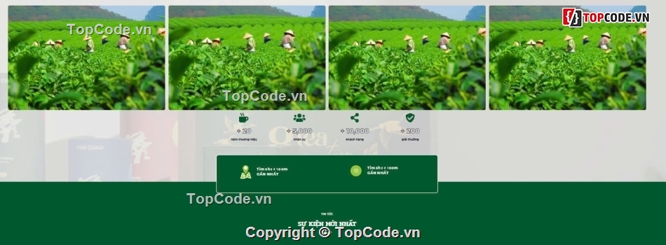 web bán trà xanh,trà đặc sản,trà cao cấp,Sharecode Website Bán trà đặc sản cao cấp